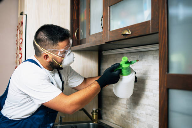 Best Pest Prevention Services  in Hurlburt Field, FL