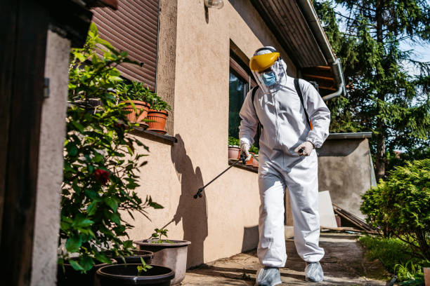 Best Mosquito Control Services  in Hurlburt Field, FL