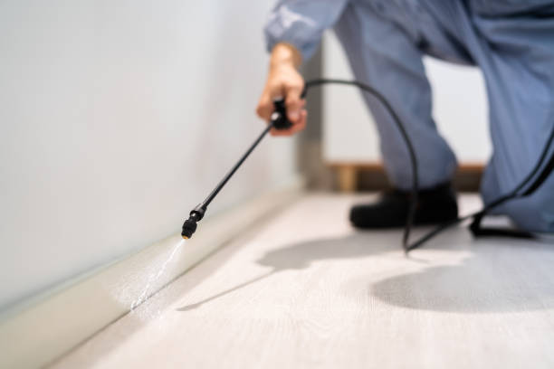 Flea Control Services in Hurlburt Field, FL