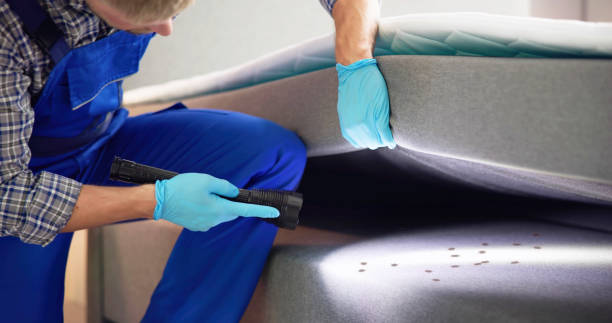 Best Ant Control Services  in Hurlburt Field, FL