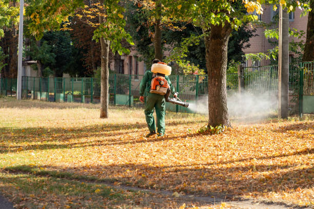 Best Affordable Pest Control Services  in Hurlburt Field, FL