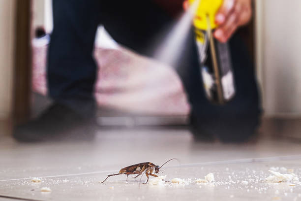 Pest Prevention Services in Hurlburt Field, FL